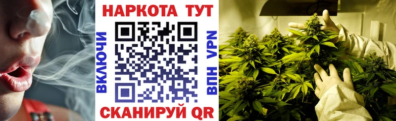 Наркошоп купить COCAIN  APVP  Псилоцибиновые грибы  Героин  МАРИХУАНА  Меф мяу мяу  Купино