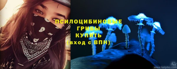 амф Белокуриха
