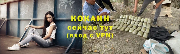 тгк Беломорск